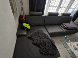 Ecksofa Leder 