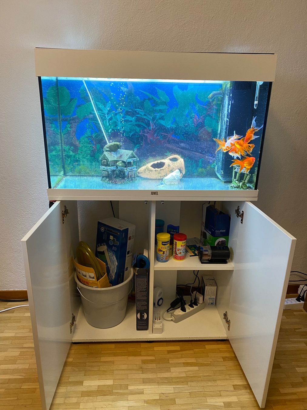Juwel Acquari: Aquarium fish tank – Usato da Bonstetten venduto da Kai14