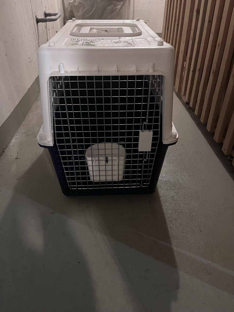 Gabbie, trasporto & Sicurezza: Dog/cat crate – Usato da Rorbas venduto da tre_k6bh