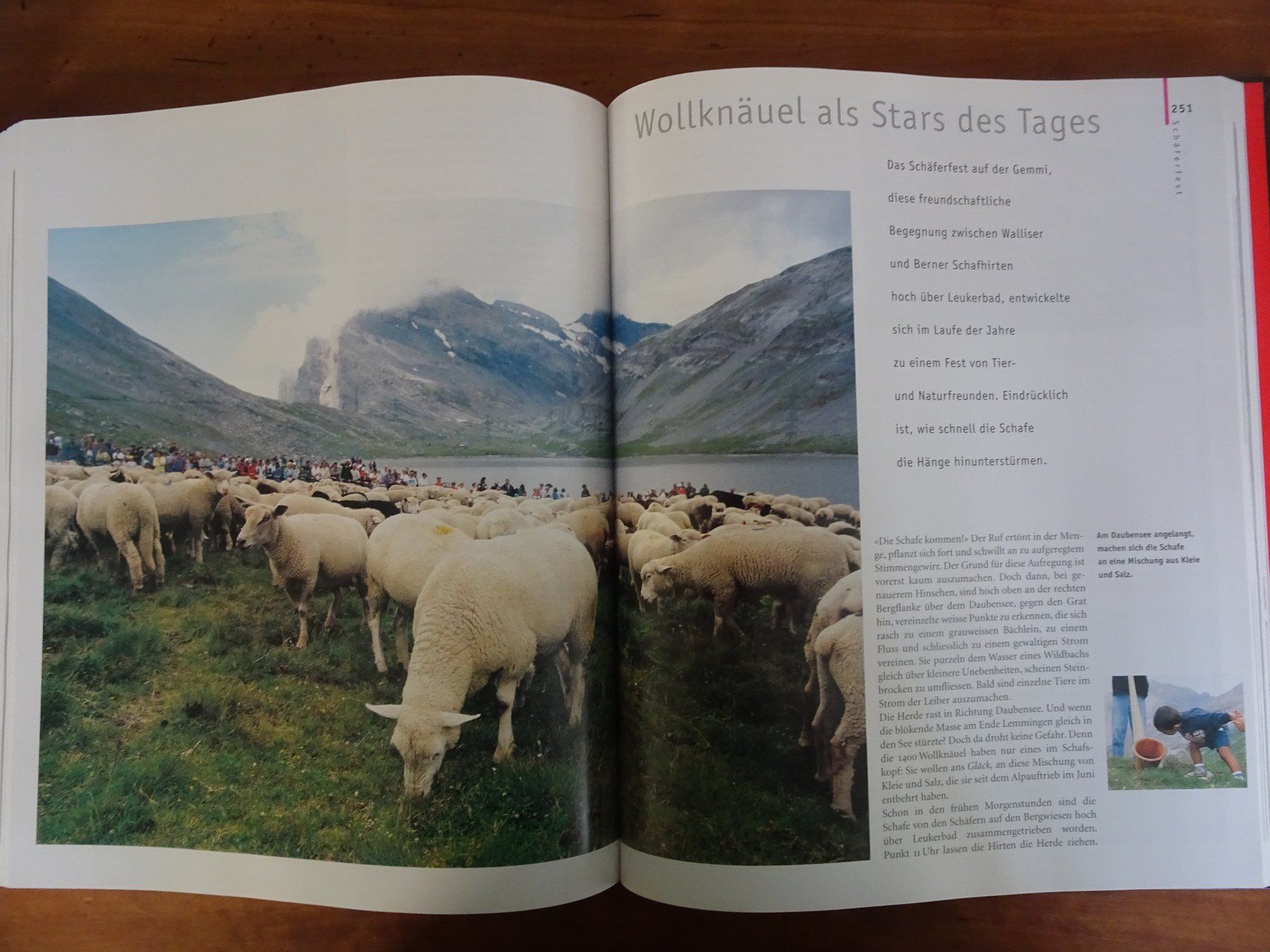 Libri: Feste im Alpenraum – Usato da männedorf venduto da purzelchen 7