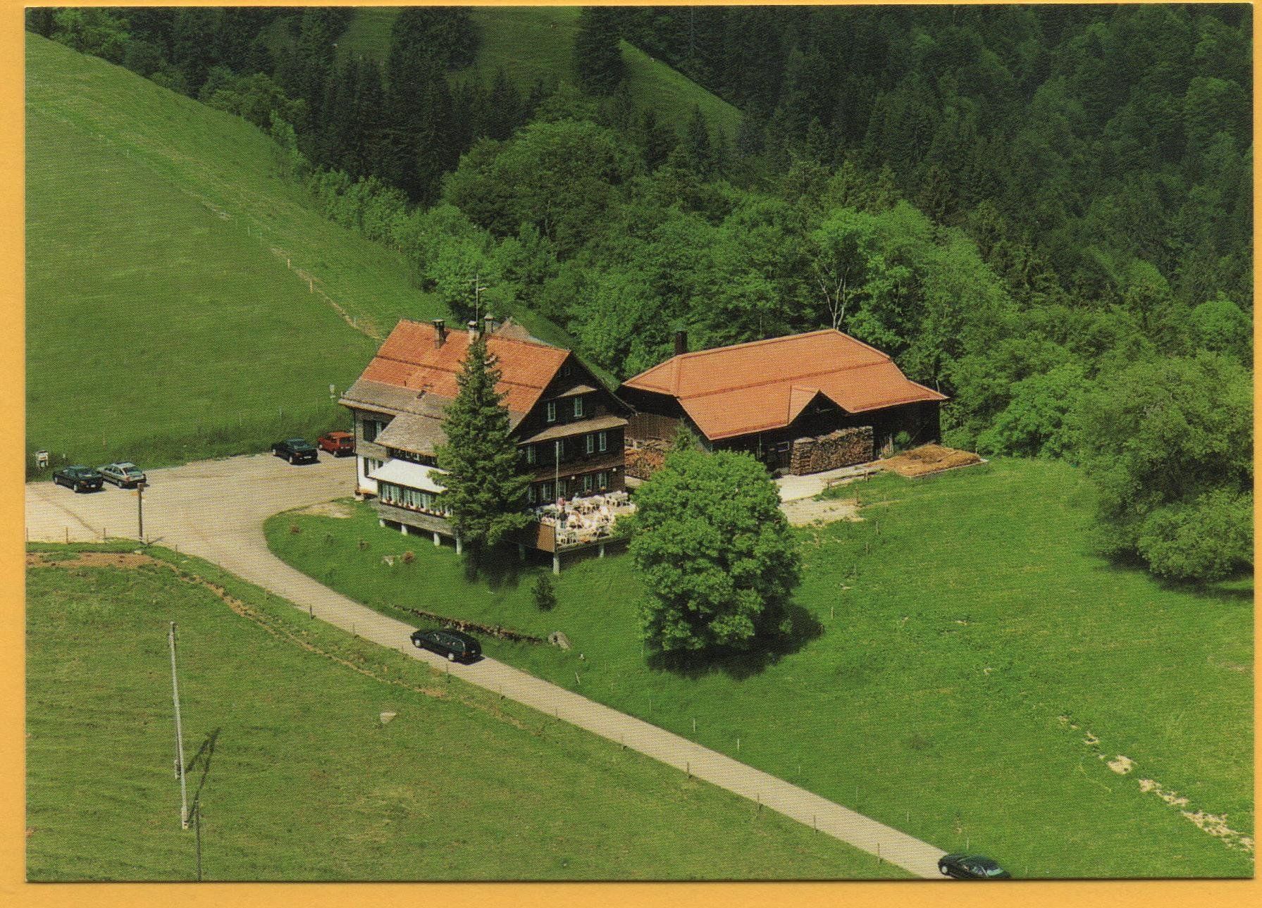 Ansichtskarten: WALD Flugaufnahme Alp Scheidegg - Auto – Neu (gemäss Beschreibung) aus Jona von philajona