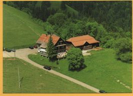 WALD Flugaufnahme Alp Scheidegg - Auto