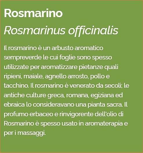 Oli essenziali: Rosemary DoTerra - 15 ml – Usato da Medeglia venduto da kat-ugo 3