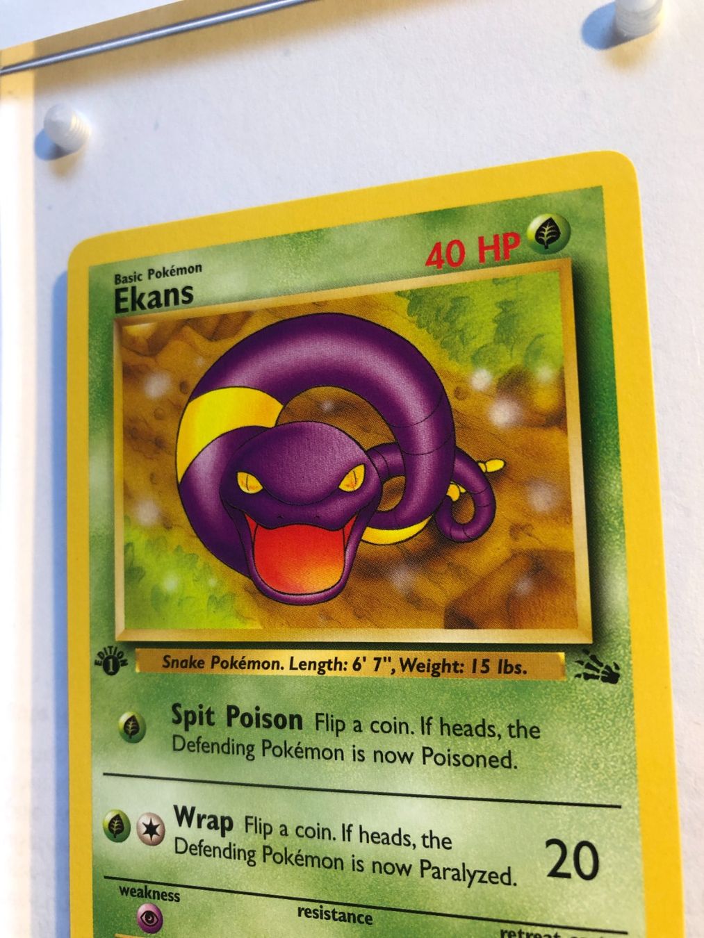 Carte collezionabili: Ekans 1st Fossil - MINT - ab 1.- – Usato da Giubiasco venduto da dan_pr8b 3