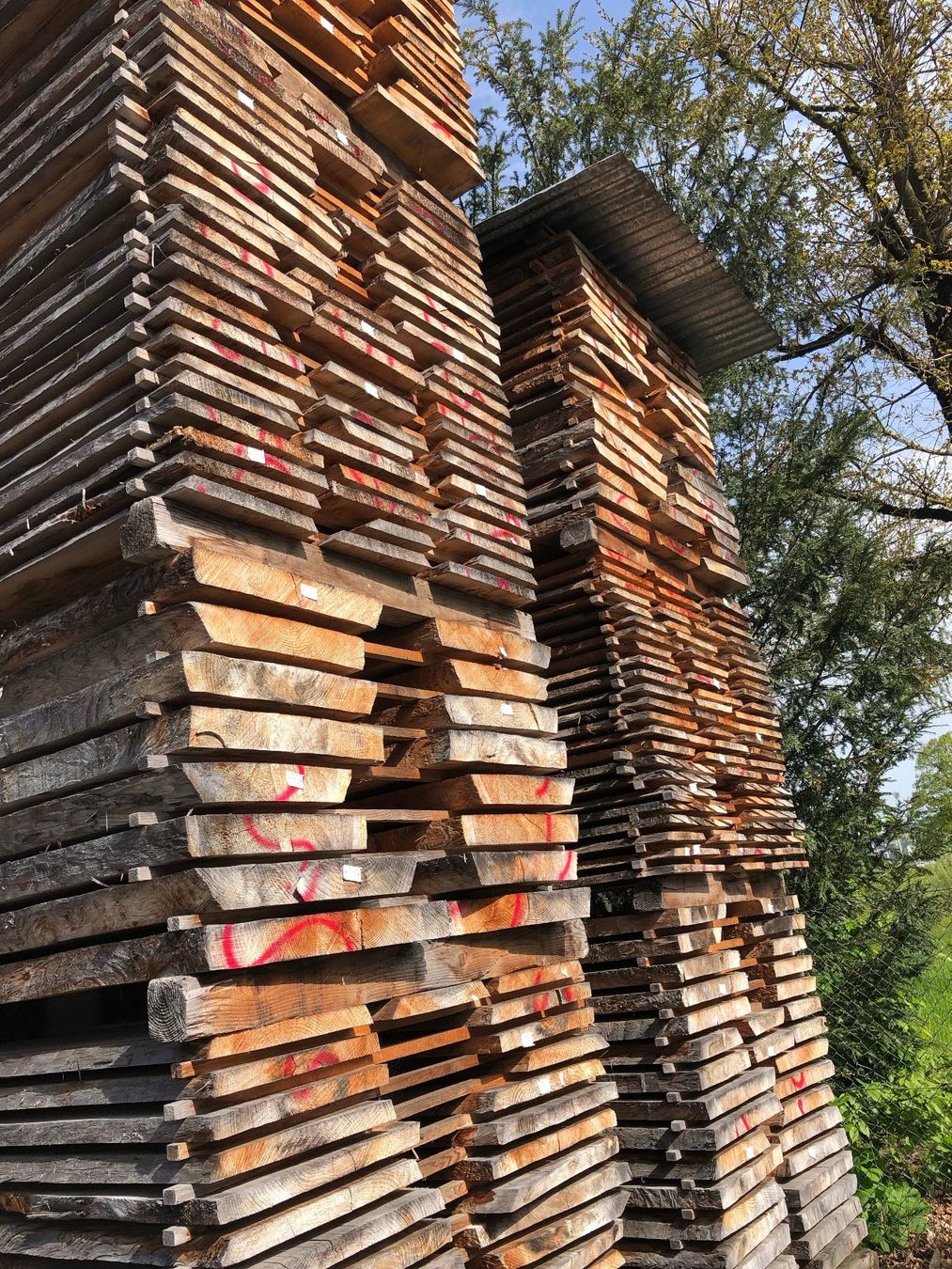 Articoli in legno: Klotzbretter – Nuovo (secondo la descrizione) da Hochdorf venduto da Sifrag 3