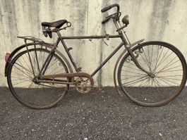 trumph velo