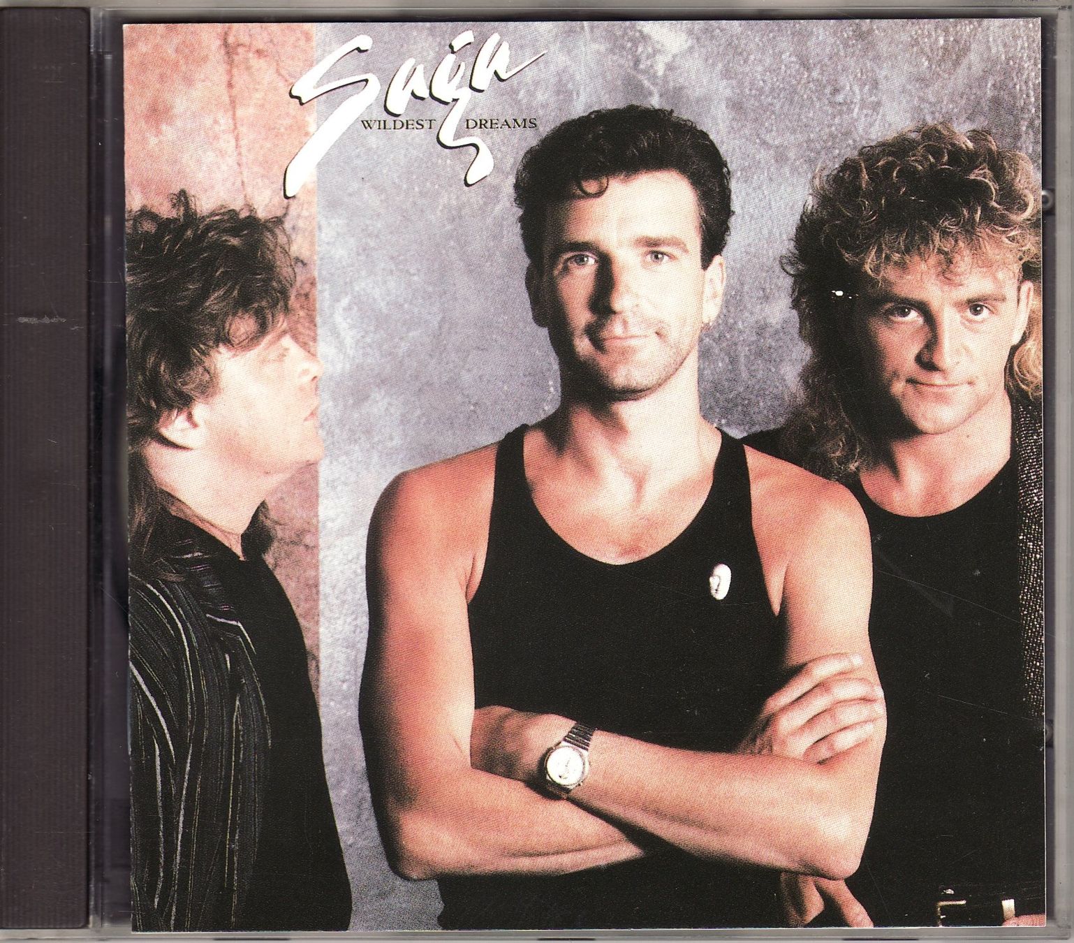 CDs: Saga  – Wildest Dreams – D'occasion à Boussens par catfood01