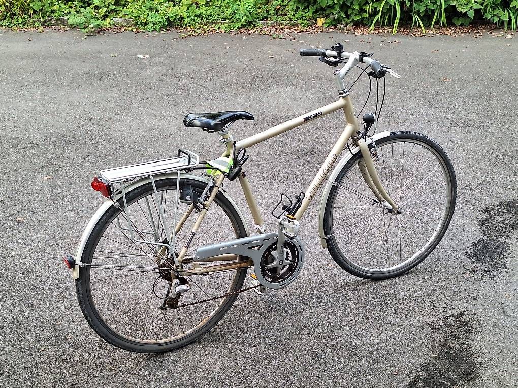 Biciclette: Velo Villiger Zurigo – Usato da Oberdorf NW venduto da Estrela17 1