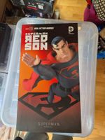 Superman Red Son – Real Action Heroes 1/6 Figur