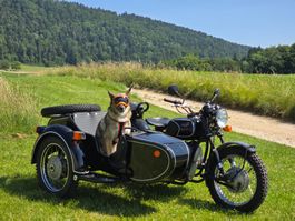 Sidecar Dnepr MT16 MFK/expertisé 20.06.25