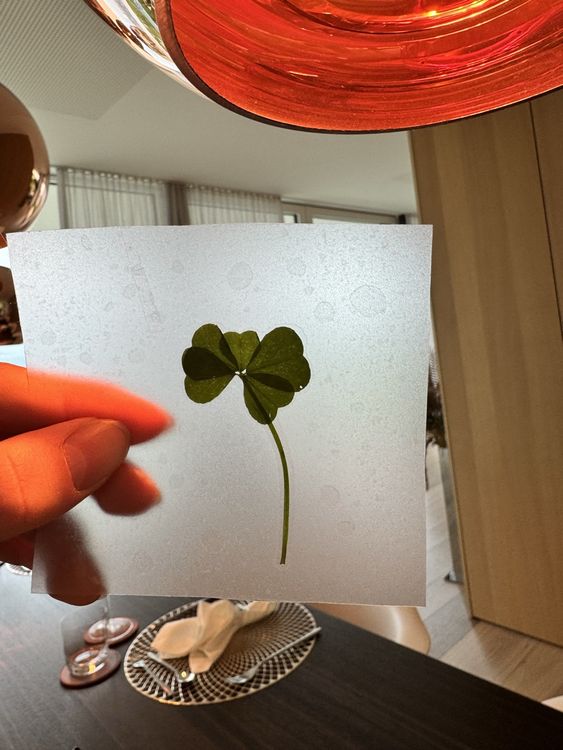 5Blättriges Kleeblatt (sehr selten) Kaufen auf Ricardo