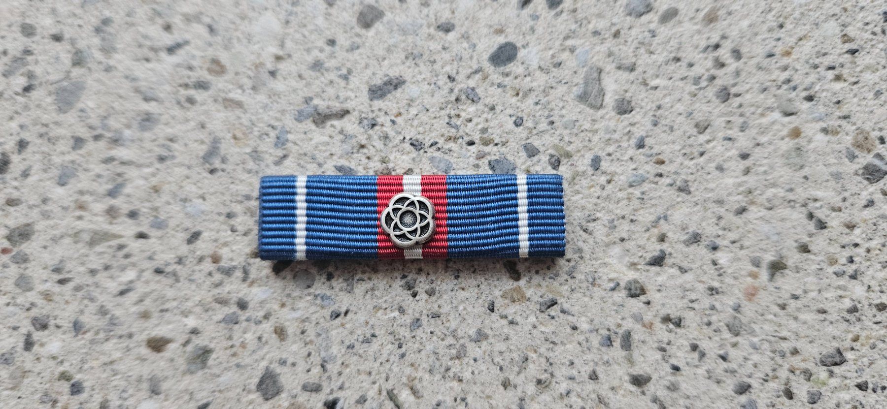 Schweizer Armee Placchette & Badge: *** Diensttage 1x silber  Ribbon *** – Nuovo (secondo la descrizione) da Riedholz venduto da fr_sIruP