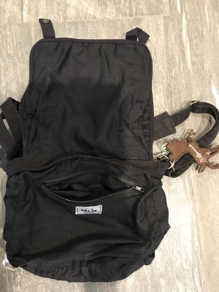 Alprausch Borse: Alprausch Stofftasche – Usato da Buttikon SZ venduto da antarktis74 2
