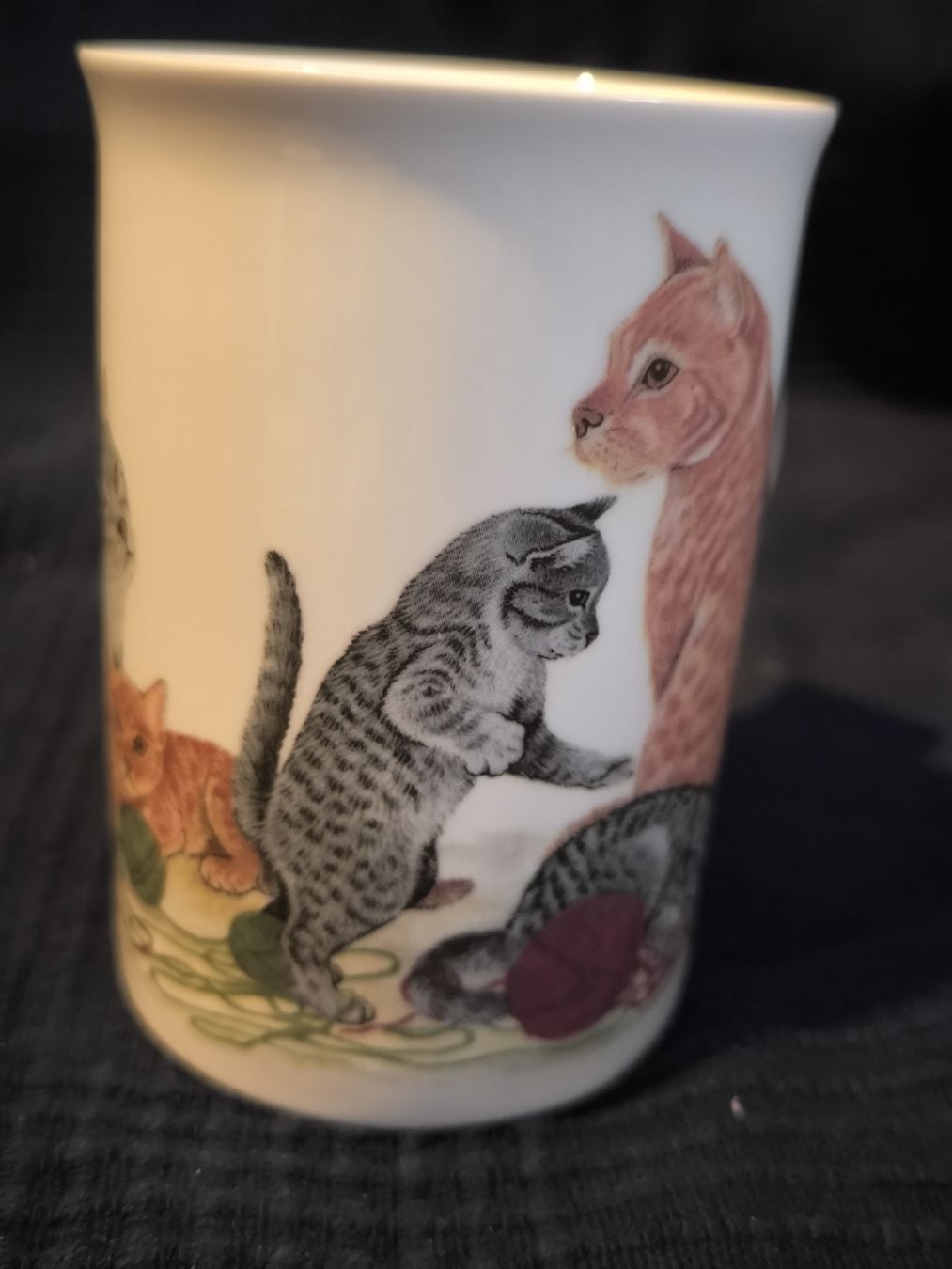Tazze: tasse a thé, Roy Kirkham, England, Cat – Usato da Nyon venduto da mgg_gg9j 1