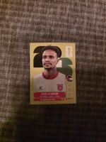 Panini WM 2026 JOR 6 Nasib