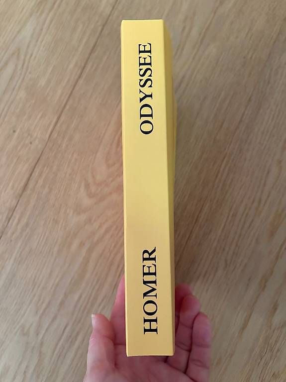 Libri: Odyssee von Homer - Illustrierte Ausgabe – Nuovo (secondo la descrizione) da Hagendorn venduto da Sabi007 2