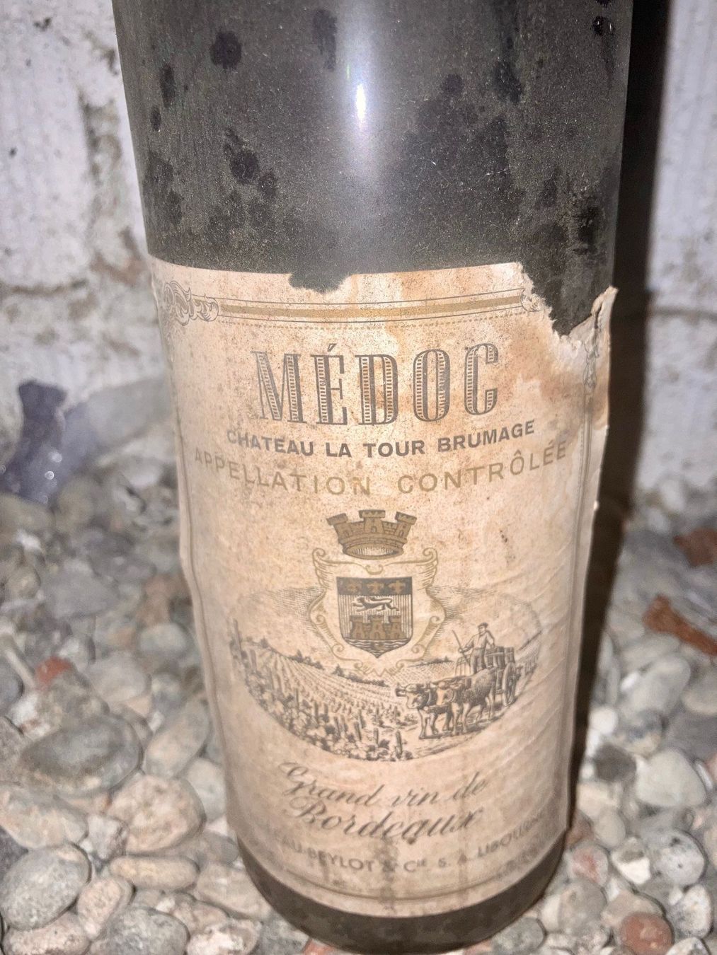 Vino: Château la Tour Brumage – Nuovo e nell'imballaggio originale da Bern venduto da Spomme 3