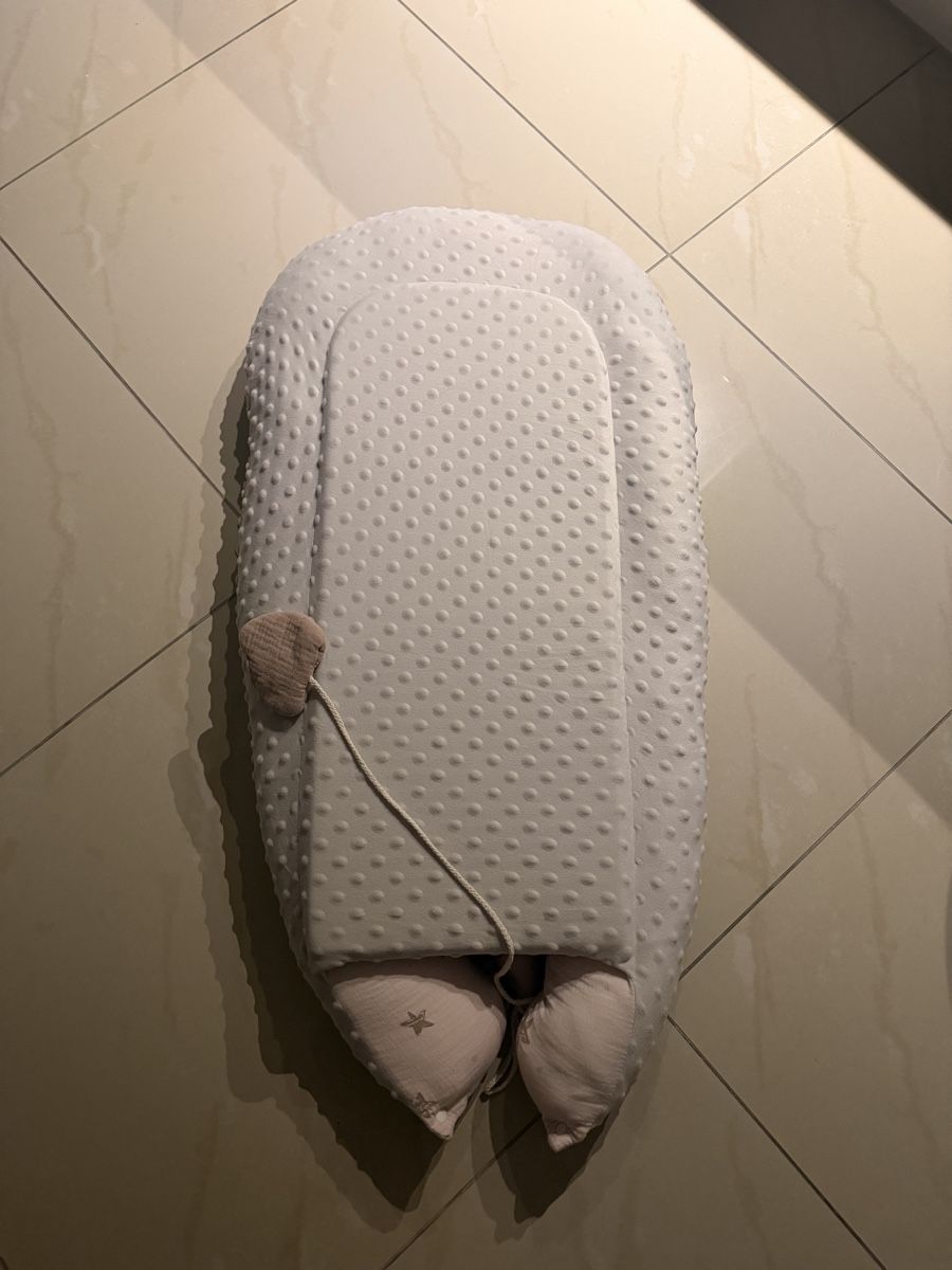 Wiegen & Stubenwagen: Baby Nest – Gebraucht aus Zweidlen von buyandsellacct 1