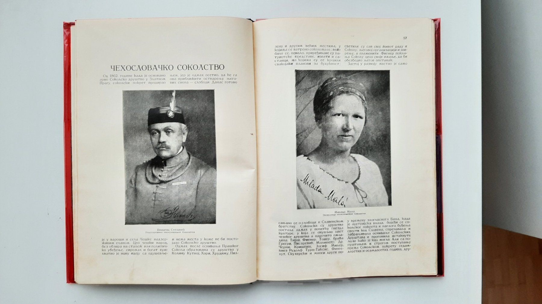 Libri: Soko Kraljevine Jugoslavije – Usato da Wettingen venduto da po250270 2