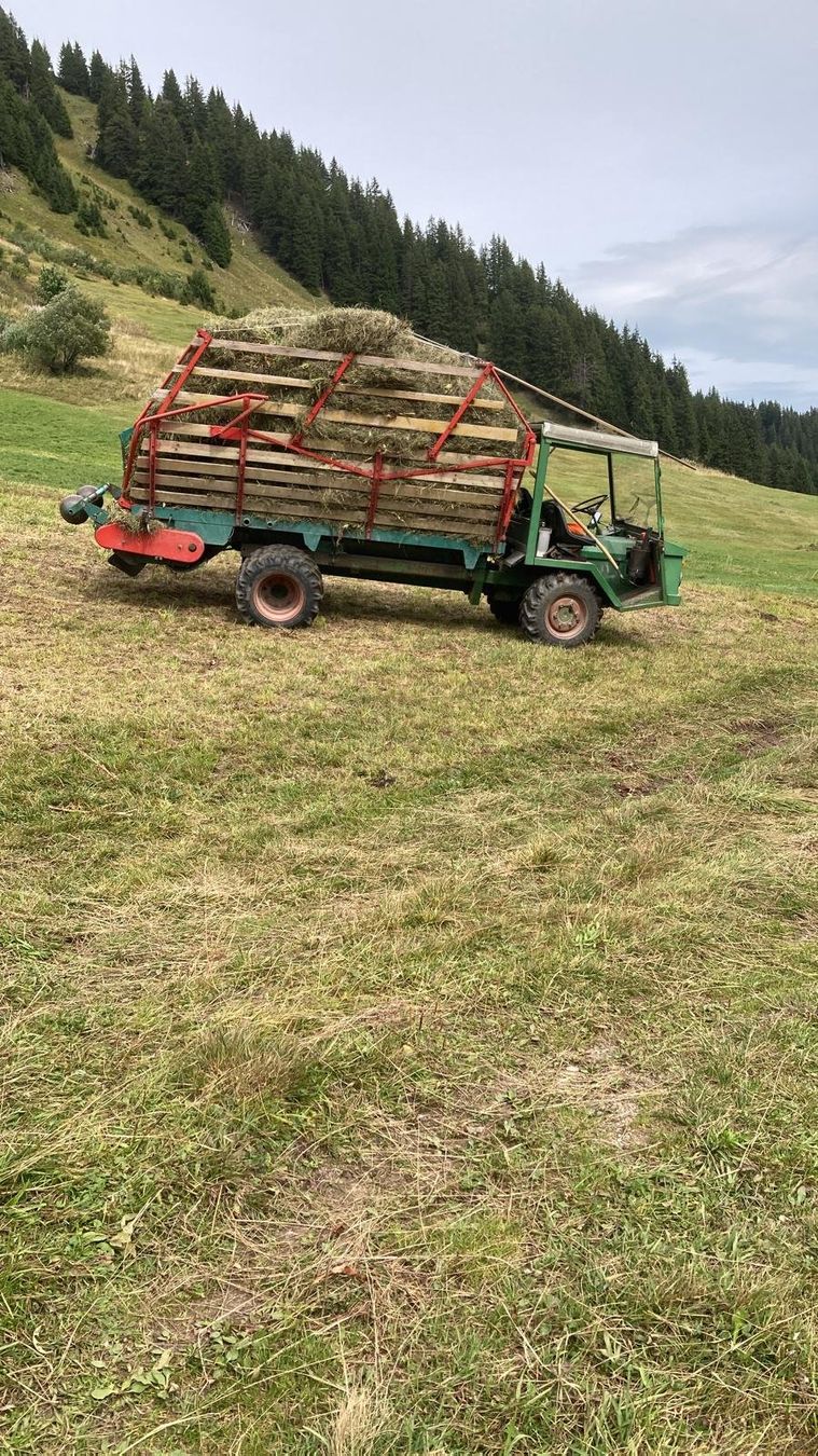 Tutte le macchine: Schilter 1800 Transporter – Usato da Lenk im Simmental venduto da ASGaragenAG