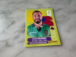 Panini FIFA Fussball WM 2026 Sticker Hernan Galindez ECU 2