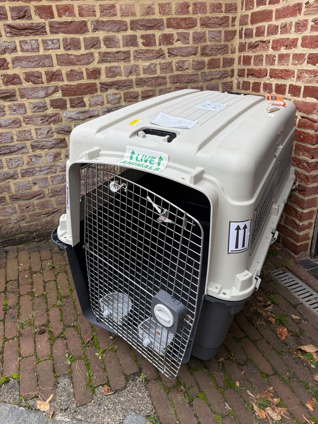 Gabbie, trasporto & Sicurezza: Hundebox – Usato da Uitikon-Waldegg venduto da Domi1234 1