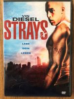 DVD Strays