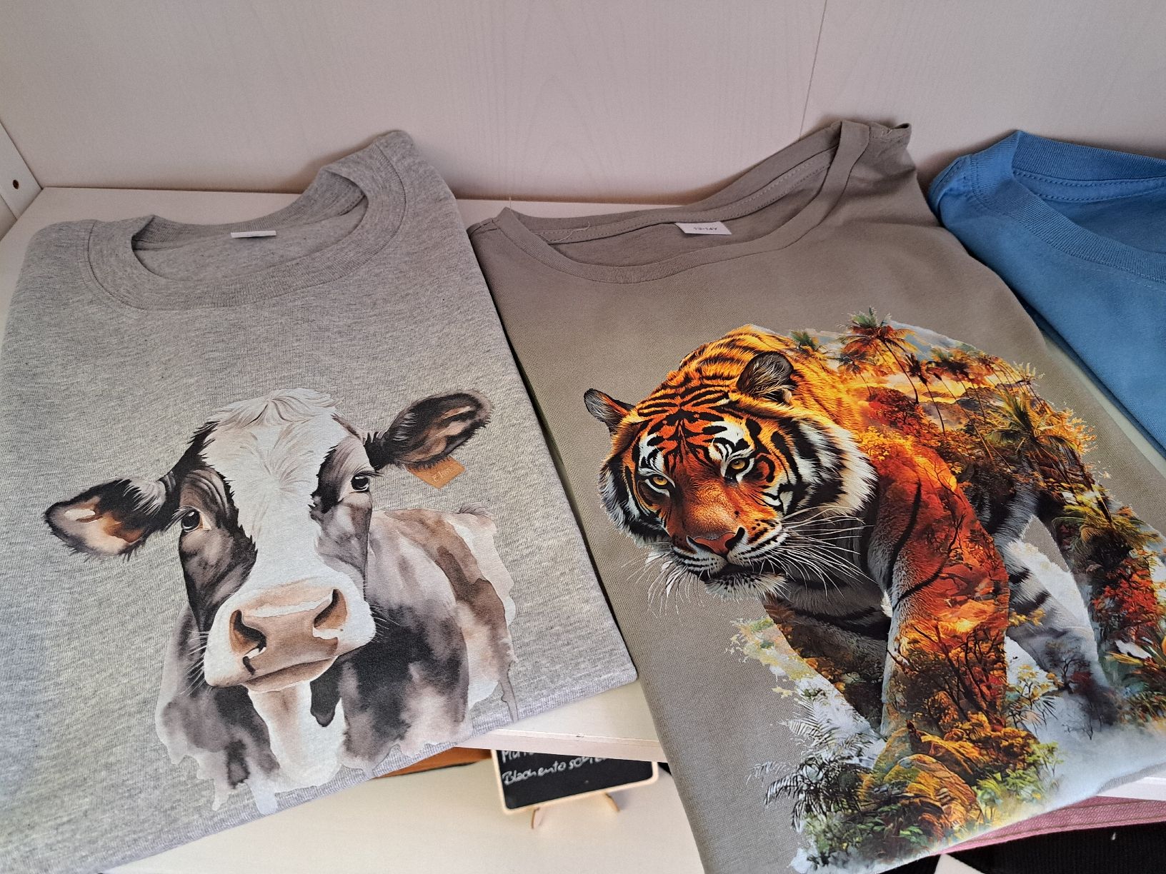 T-shirt: T-Shirts – Nuovo e nell'imballaggio originale da Rothenthurm venduto da dudli84 3