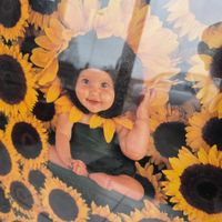1997 Anne Geddes Sonnenblumen Poster Druck Printed in Italy