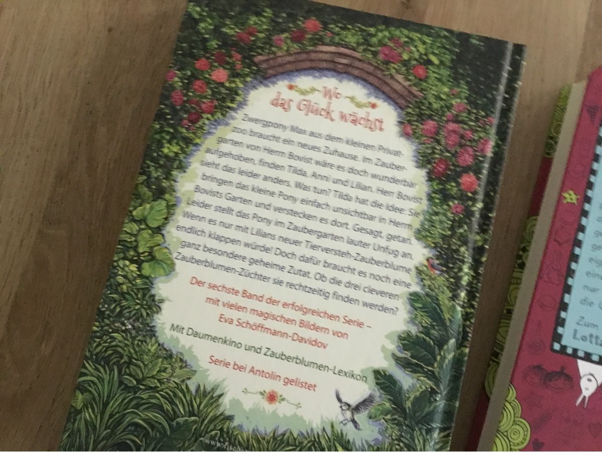 Libri: Lotta Leben und Der Zaubergarten – Usato da Triesen venduto da Trisuna 1