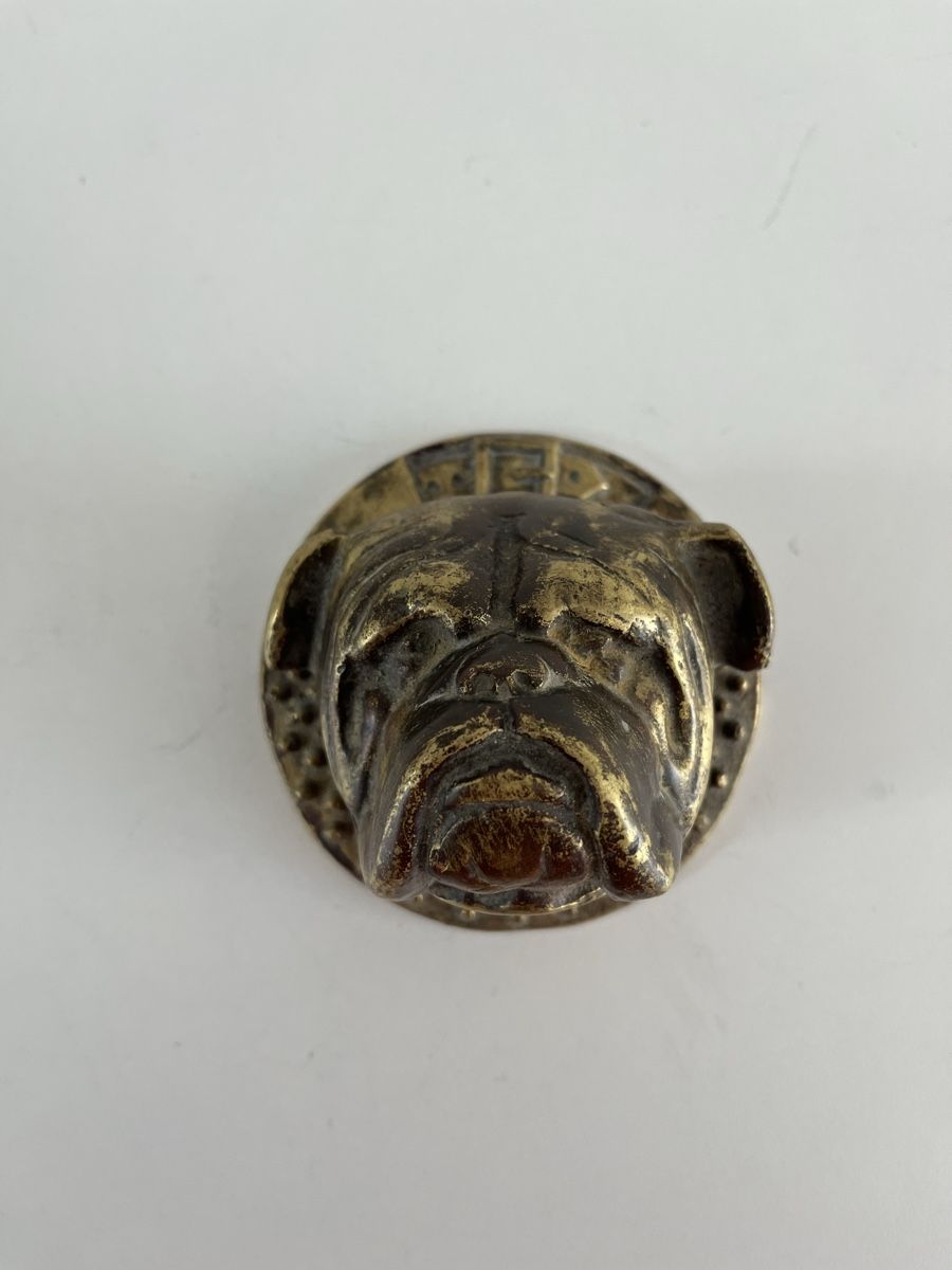 Chiavi & Serrature: Bulldog - Türklopfer aus Messing – Usato da Wetzikon ZH venduto da seli03