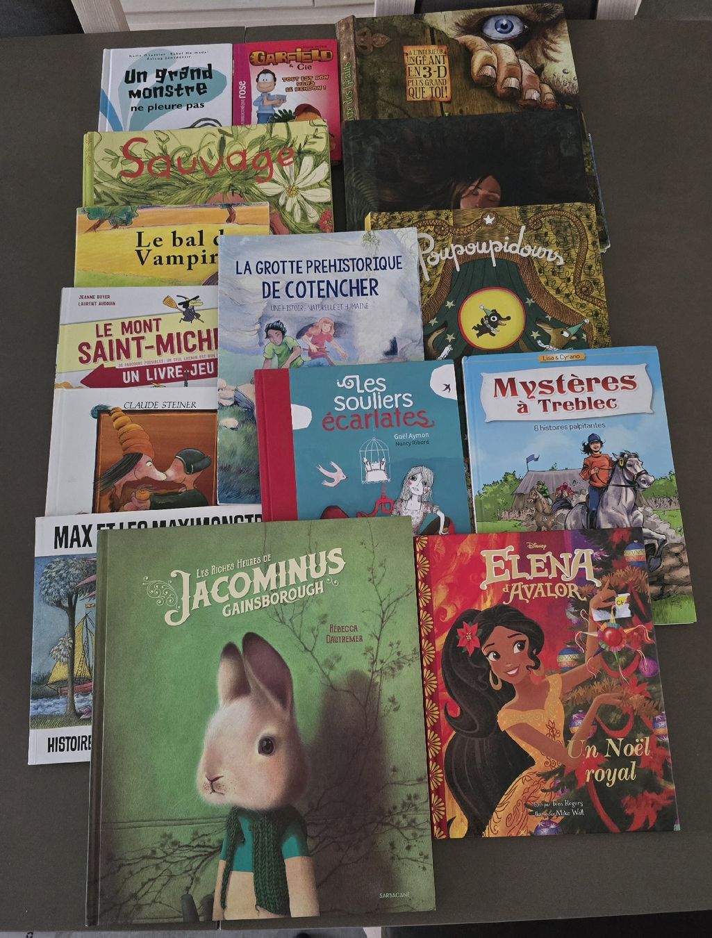 Libri: Lot de 15 livres – Usato da Courtemaîche venduto da justine21