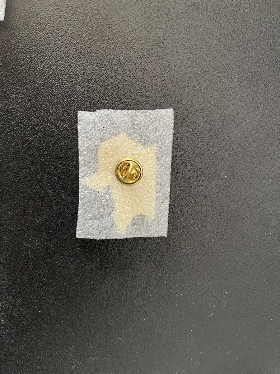 Broschen & Nadeln: SBB pin – Gebraucht aus Mellingen von Guilhermefurlan 1