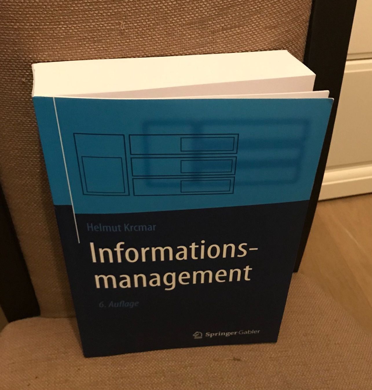 Libri: Informationsmanagement – Nuovo (secondo la descrizione) da Dottikon venduto da 6571 1