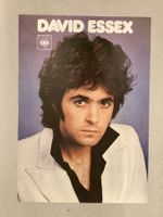 Promoplakat David Essex (diverse Defekte)