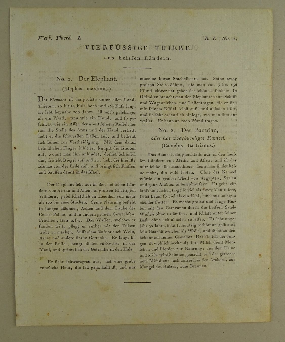 Incisioni: ELEFANT & KAMEL, KUPFERSTICH UM 1810 – Usato da Grüningen venduto da Kartensammler 3