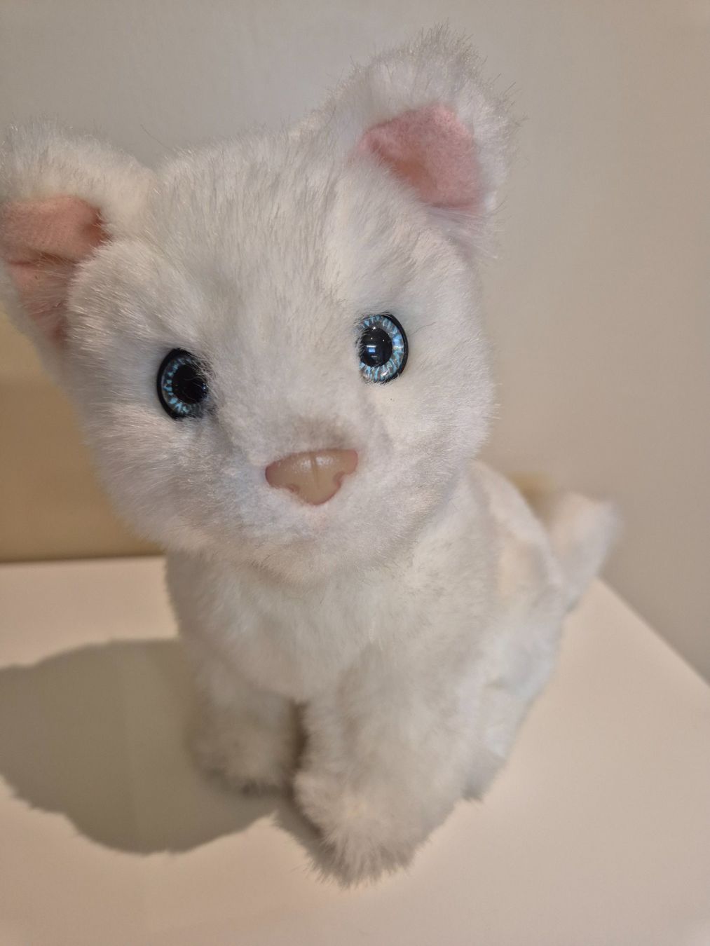Jouets: Plüschtier Büsi weiss – Neuf (Voir description) à Dietikon par grafad 1