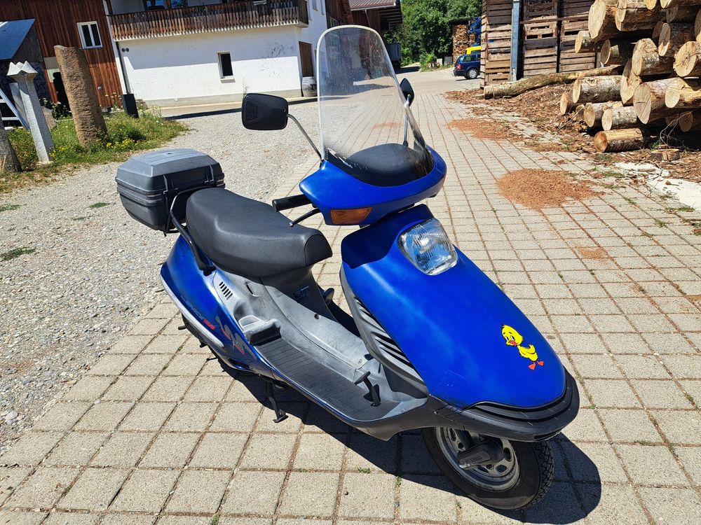Honda Spacy 125 Roller Scooter Lieferung möglich (Gebraucht) in Hallau ...