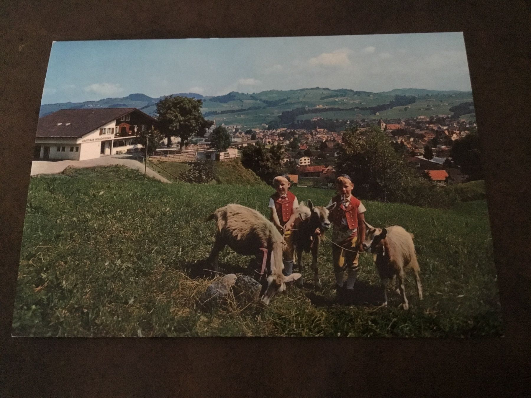 Cartoline postali: Gasthaus Freudenberg Appenzell – Usato da Kerzers venduto da Georges3210