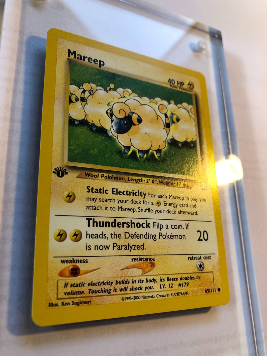 Sammelbilder & Trading cards: Mareep 1st Neo Genesis - NM - ab 1.- – Gebraucht aus Giubiasco von dan_pr8b 1
