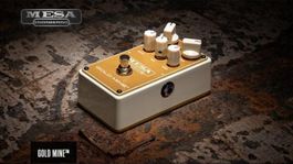 CH-Top-Preisgarantie!!! Mesa Boogie - Goldmine
