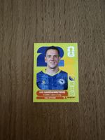 Panini FIFA World Cup 2026, BIH 8
