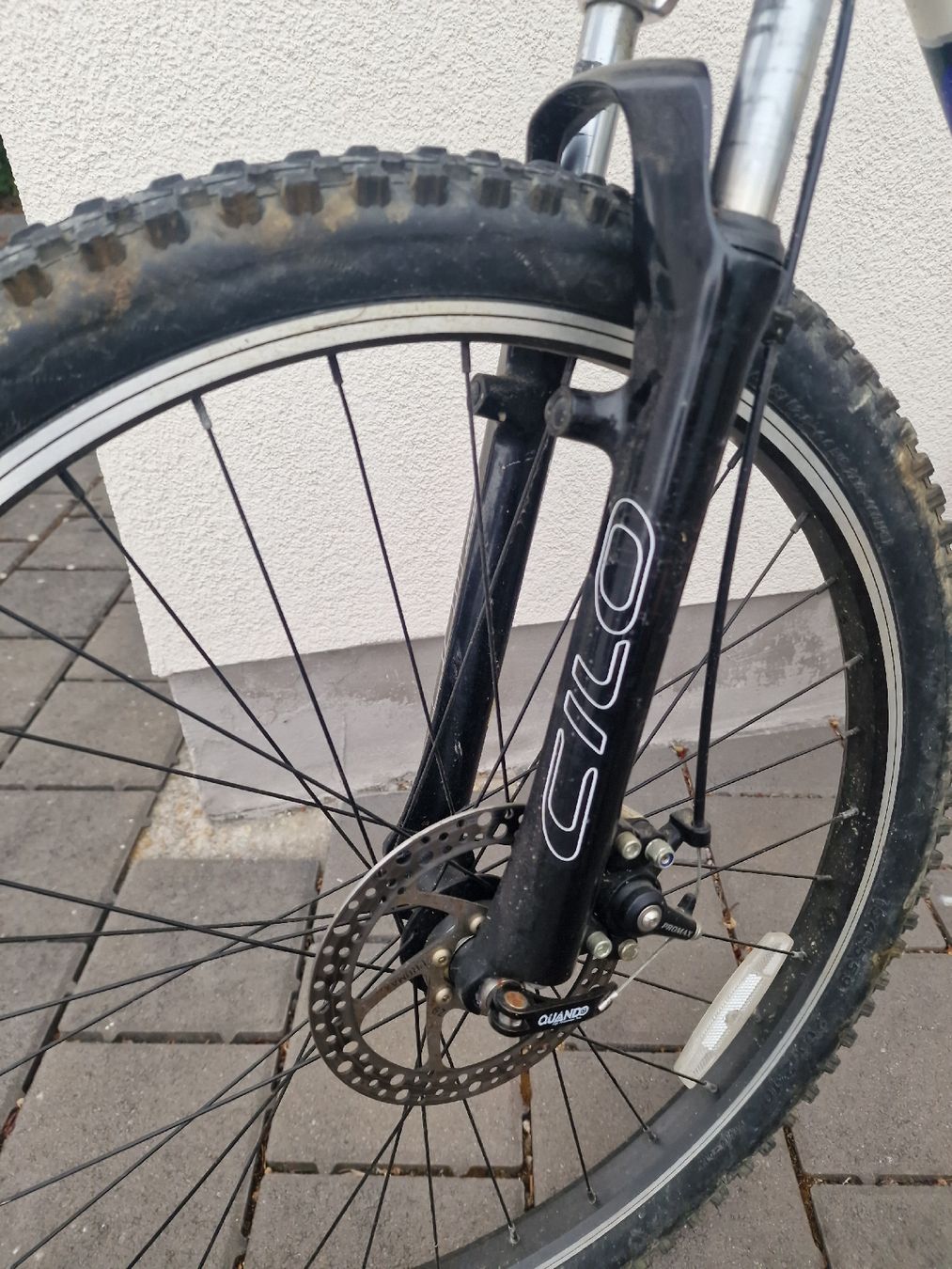 Cilo Biciclette: CILO Mountainbike 26  – Usato da Wäldi venduto da pos_r5ds 3