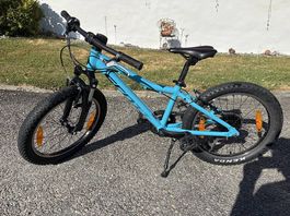 Scott Scale 20"