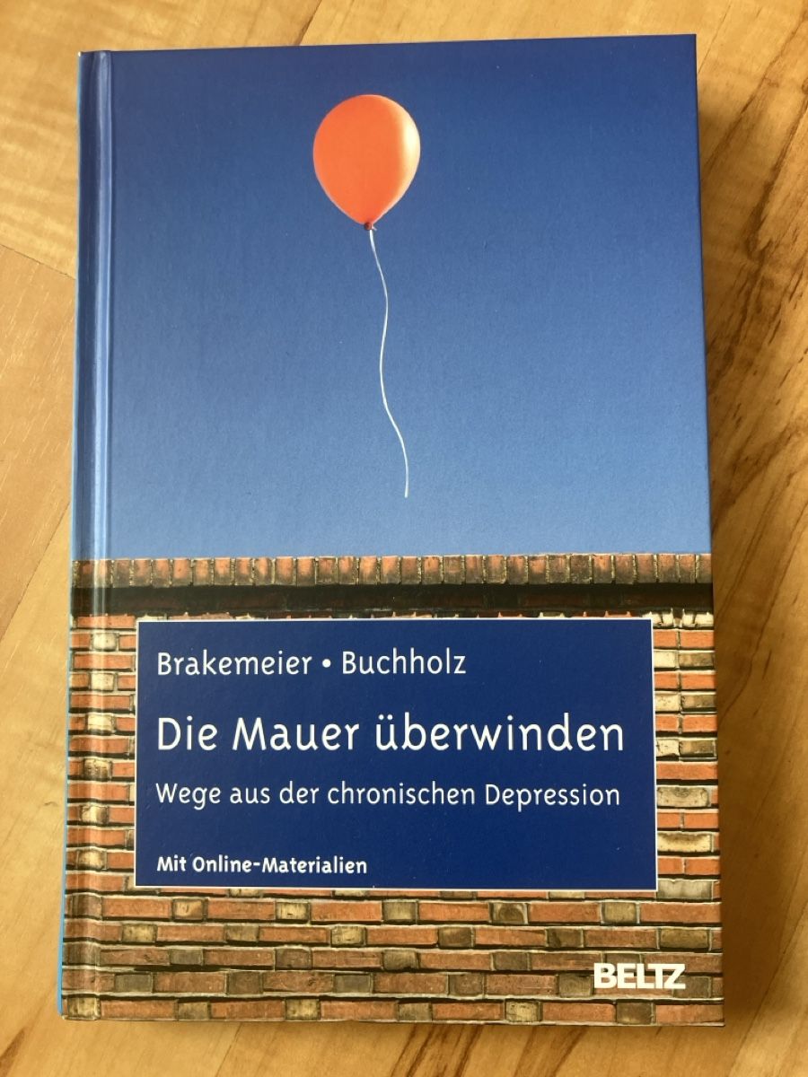 Libri: Buch Die Mauer überwinden – Usato da Windisch venduto da Sumpfrose