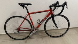 Thömus Rennrad AN6 Ultegra, Rahmen 50, top Zustand