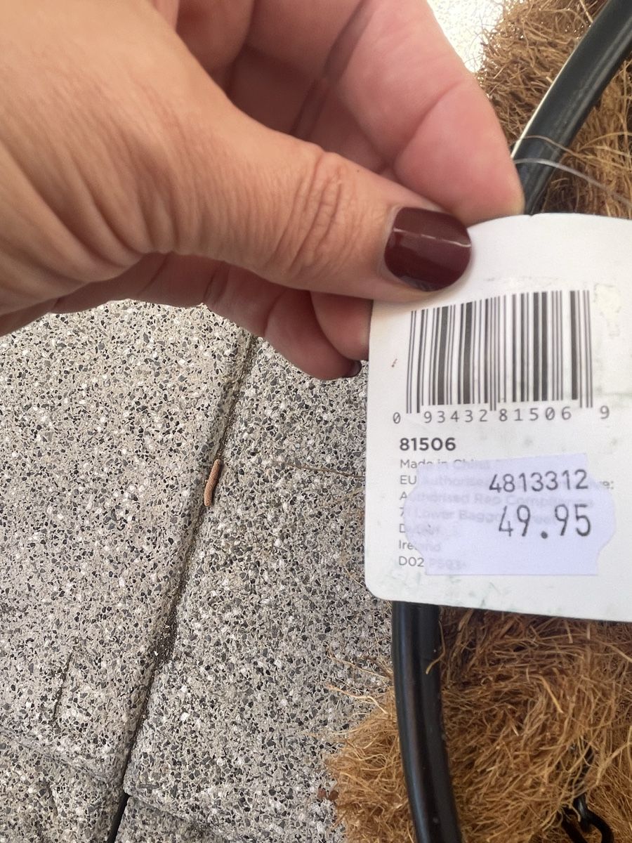 Coop Vasi per fiori: Hängende Blumenampel aus Kokosfaser – Nuovo (secondo la descrizione) da Biel/Bienne venduto da Kujira29 3