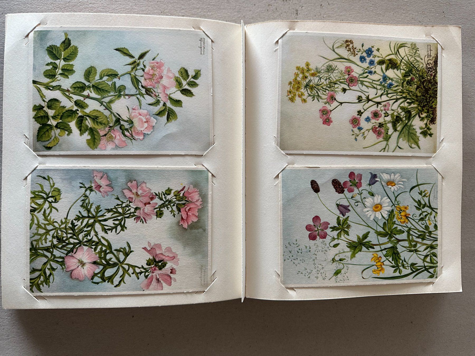 Cartoline postali: Kartenalbum mit Blumenpostkarten – Usato da Mühlethal venduto da Buntfarbe 2