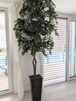XXL Kunstbaum Ficus – ca. 2,30 m hoch