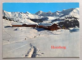 Hornberg (1811 m) ob Saanenmöser